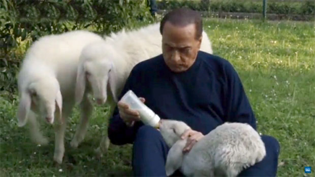 Берлускони не дозвољава да јагањци утихну (ВИДЕО)